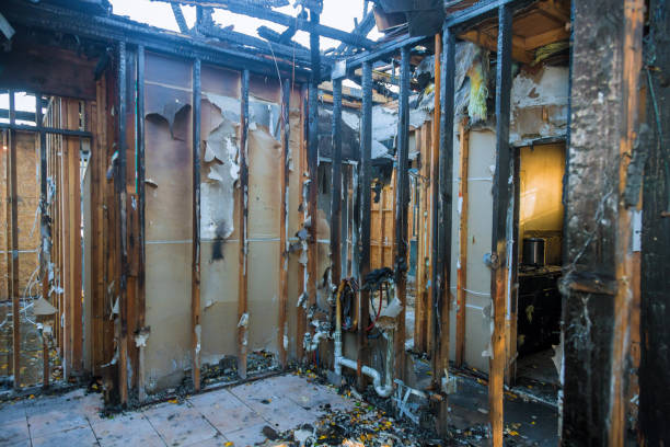 Professional Smoke Damage Restoration technician working in Alexandria, KY